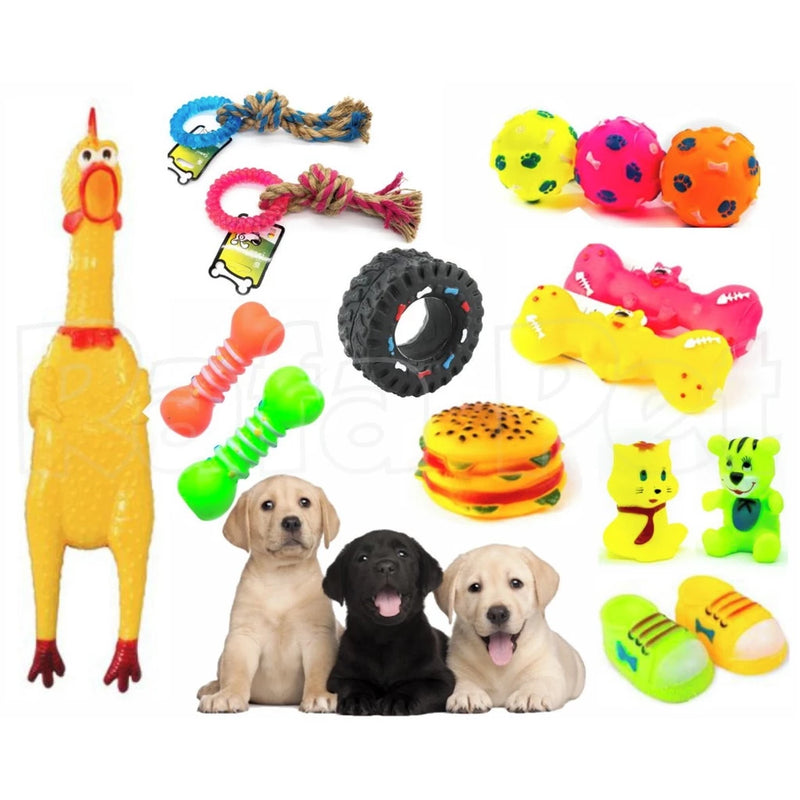 Kit de Brinquedos para Cachorros